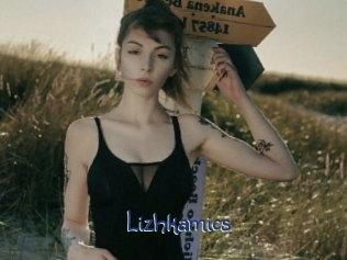 Lizhkamics