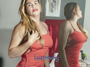 Luzmerry