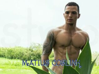 MATIUS_COSLINK