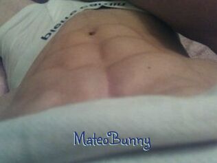 Mateo_Bunny