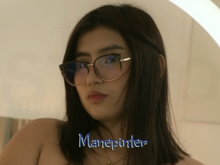 Manepinter