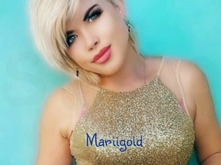 Mariigold