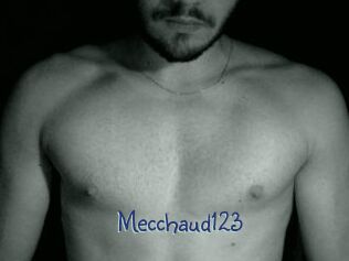 Mecchaud123