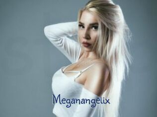 Meganangelix