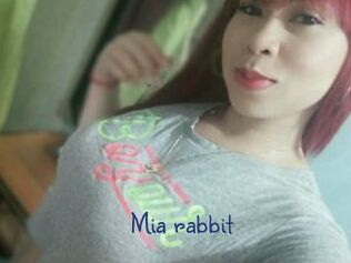 Mia_rabbit