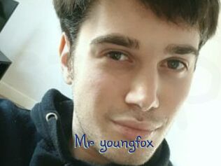 Mr_youngfox