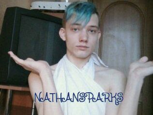 NATHAN_SPARKS