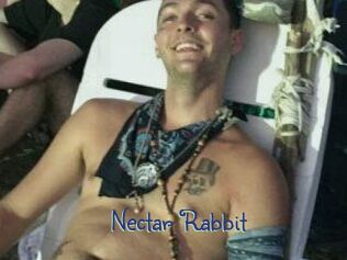 Nectar_Rabbit