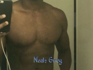 Noah_Grey