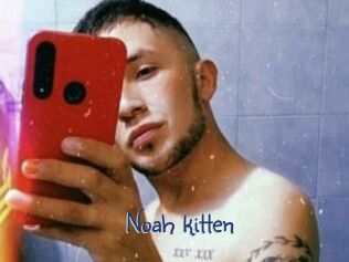 Noah_kitten