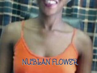 _NUBIAN_FLOWER_