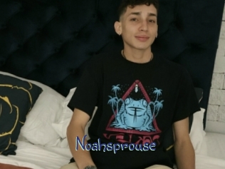 Noahsprouse