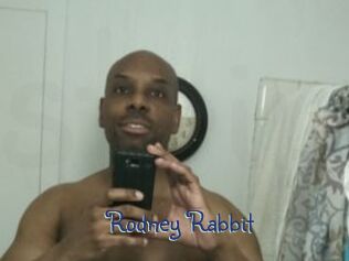 Rodney_Rabbit