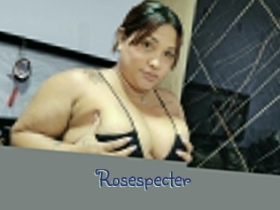 rosespecter Stripx