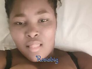Rosisbig