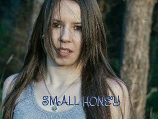 SMALL_HONEY