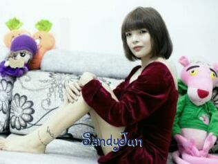 SandyJun