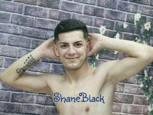 ShaneBlack