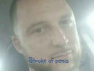 Stroke_of_penis