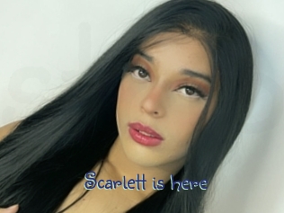 Scarlett_is_here