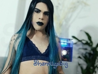 Shaneilysbig