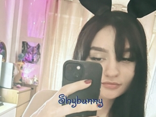 Shybunny