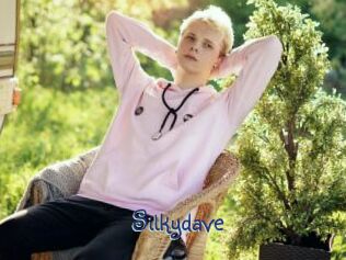 Silkydave