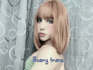 Soary_trans