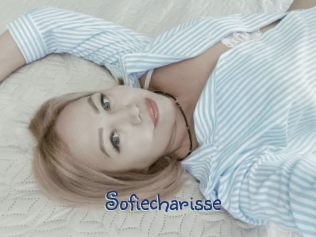 sofiecharisse Stripx