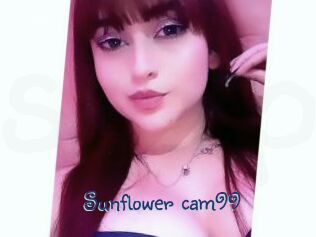 Sunflower_cam99