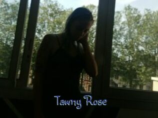 Tawny_Rose