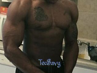 TecSavy
