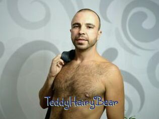 TeddyHairyBear