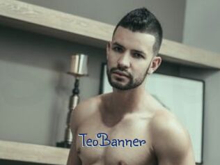 TeoBanner