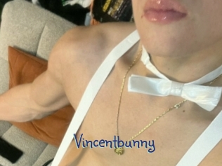 Vincentbunny
