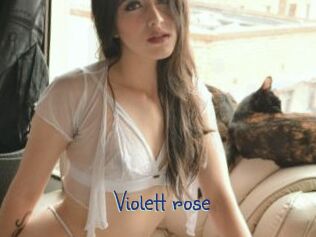 Violett_rose