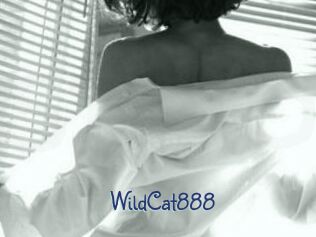 WildCat888