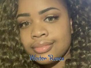 Winter_Rosea