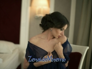 ZenaideMnemo