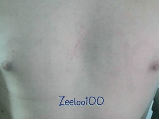 Zeeloo100