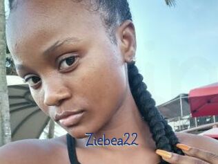 Ziebea22