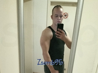 Zsomb95